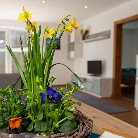 Ferienwohnung Pedit تارينز المظهر الخارجي الصورة
