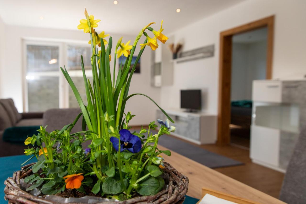 Ferienwohnung Pedit تارينز المظهر الخارجي الصورة