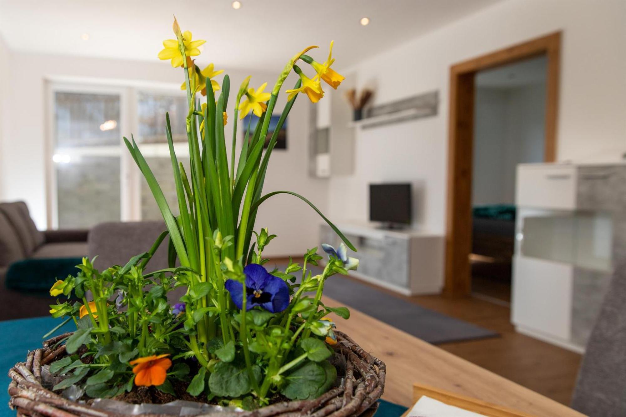 Ferienwohnung Pedit تارينز المظهر الخارجي الصورة